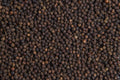 Black Pepper